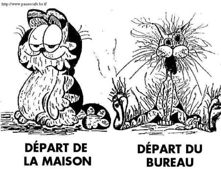 humour